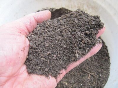 Dry Vermicompost Soil Fertilizer